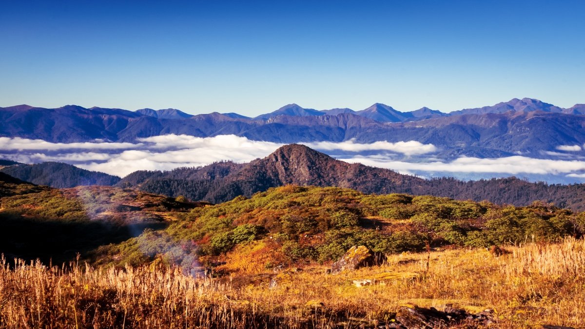 Haa Nub Tshonapata Trek
