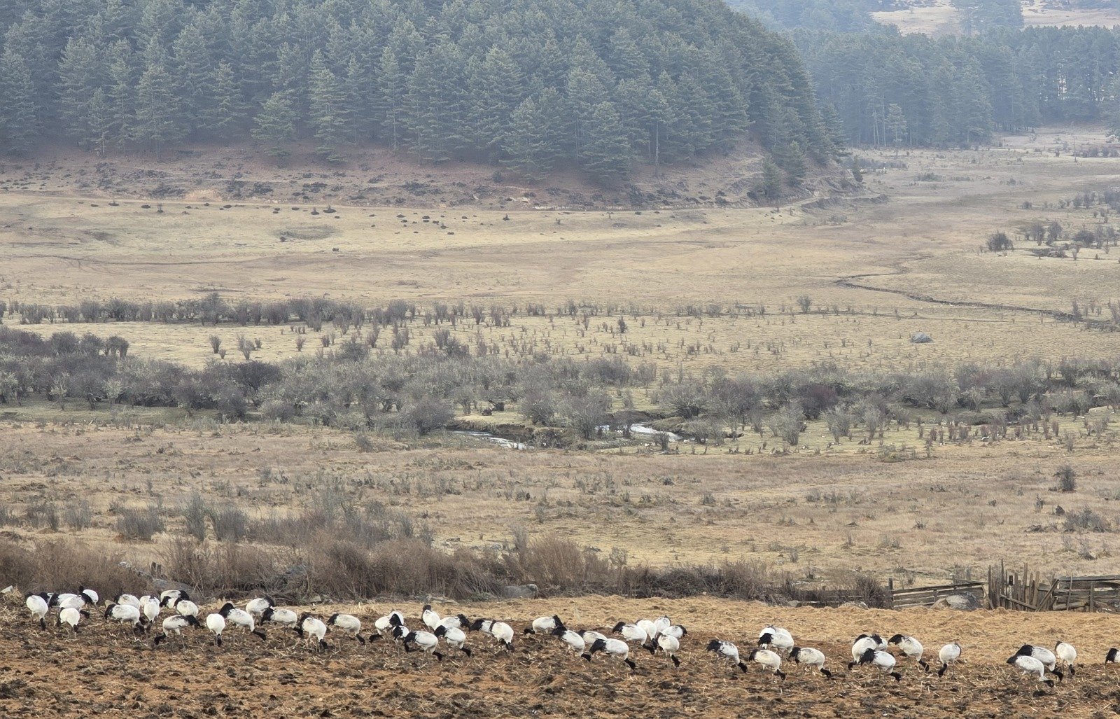 Valleys of Serenity – Bhutan