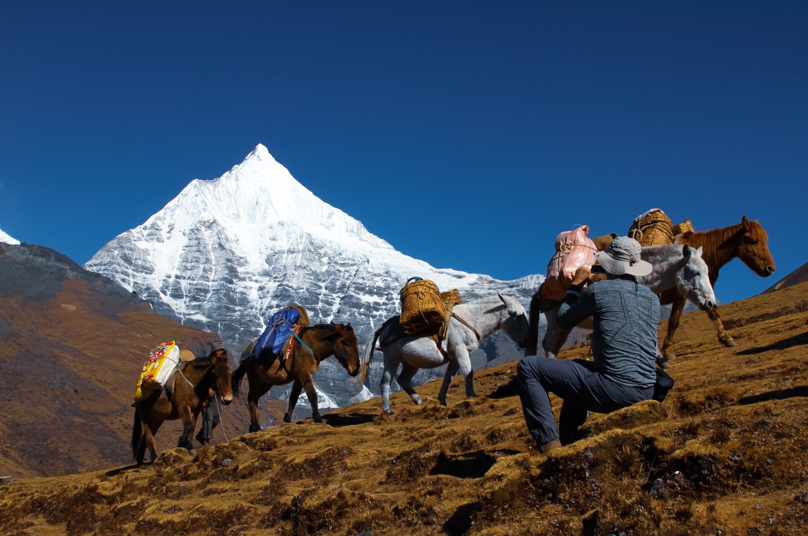 Laya Gasa Trek