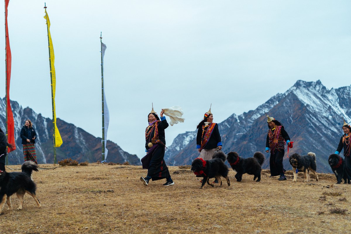 Royal Highland Festival Tour