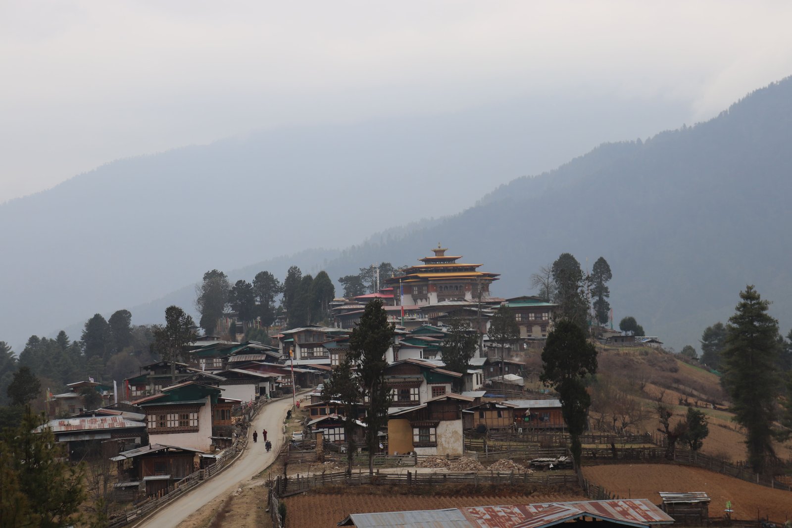 SD Gangtey Tshechu Tour